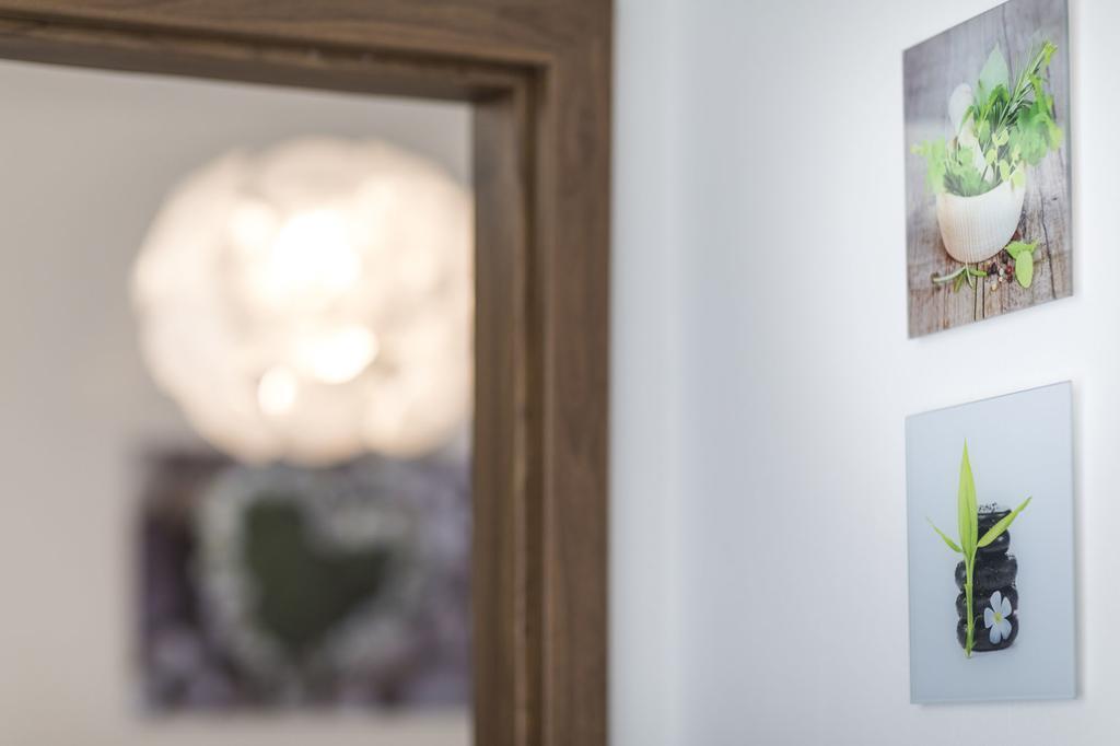 Apartman Dolni Namesti Olomouc Ngoại thất bức ảnh